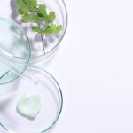 Plant Stem Cells For Skin