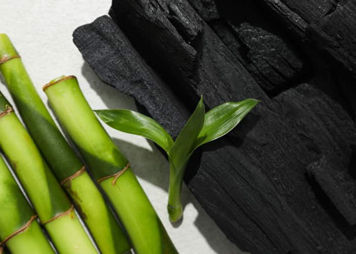How Bamboo Charcoal Works The Science Behind the Purification