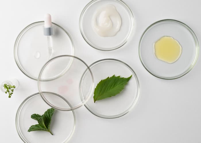 Science Behind Bio-Cellulose